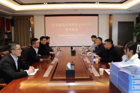 集团安管部一行赴Z6尊龙凯时地产公司开展 岁末年初安全生产督导检查